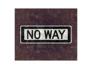 No Way Crushed Velvet Blanket