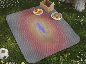 Moderna Picnic Blanket