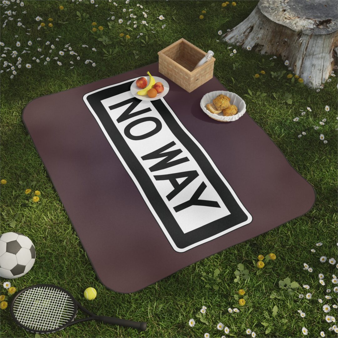 - No Way Picnic Blanket - 1 - Davidnoll.earth https://davidnoll.earth/wp-content/uploads/2024/12/14153521076863783365_2048.jpeg