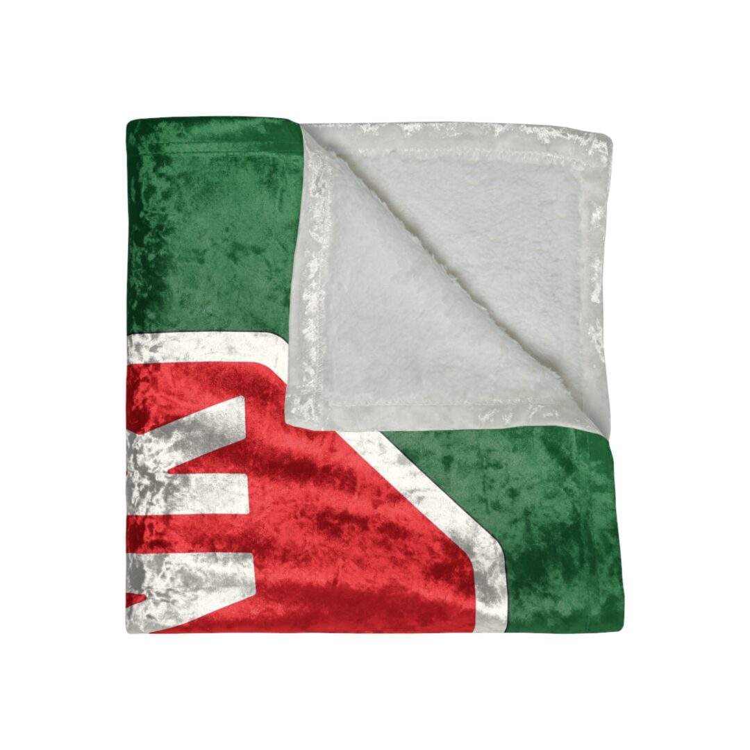 - Blink Crushed Velvet Blanket - 4 - Davidnoll.earth https://davidnoll.earth/wp-content/uploads/2024/10/11092170727129873764_2048.jpeg