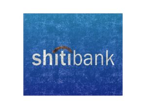 Shitibank Crushed Velvet Blanket