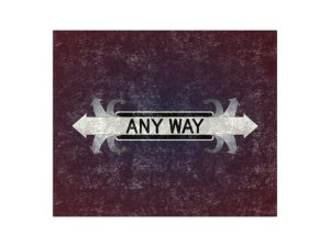 Any Way Crushed Velvet Blanket