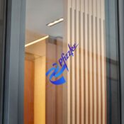 Pfizzler Direct to Film Transparent Stickers - Thumbnail Image 12