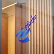 Pfizzler Direct to Film Transparent Stickers - Thumbnail Image 10
