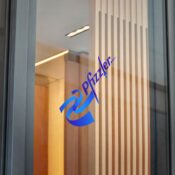 Pfizzler Direct to Film Transparent Stickers - Thumbnail Image 14